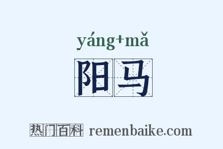 阳马是什么意思的图片
